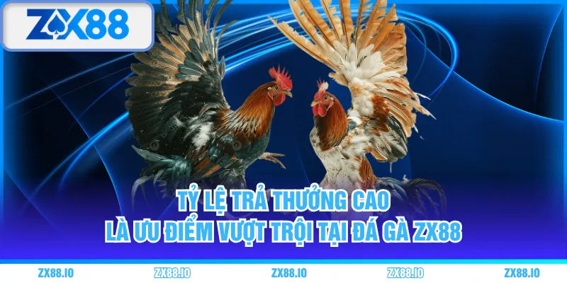 Tỷ lệ trả thưởng cao là ưu điểm vượt trội tại đá gà ZX88